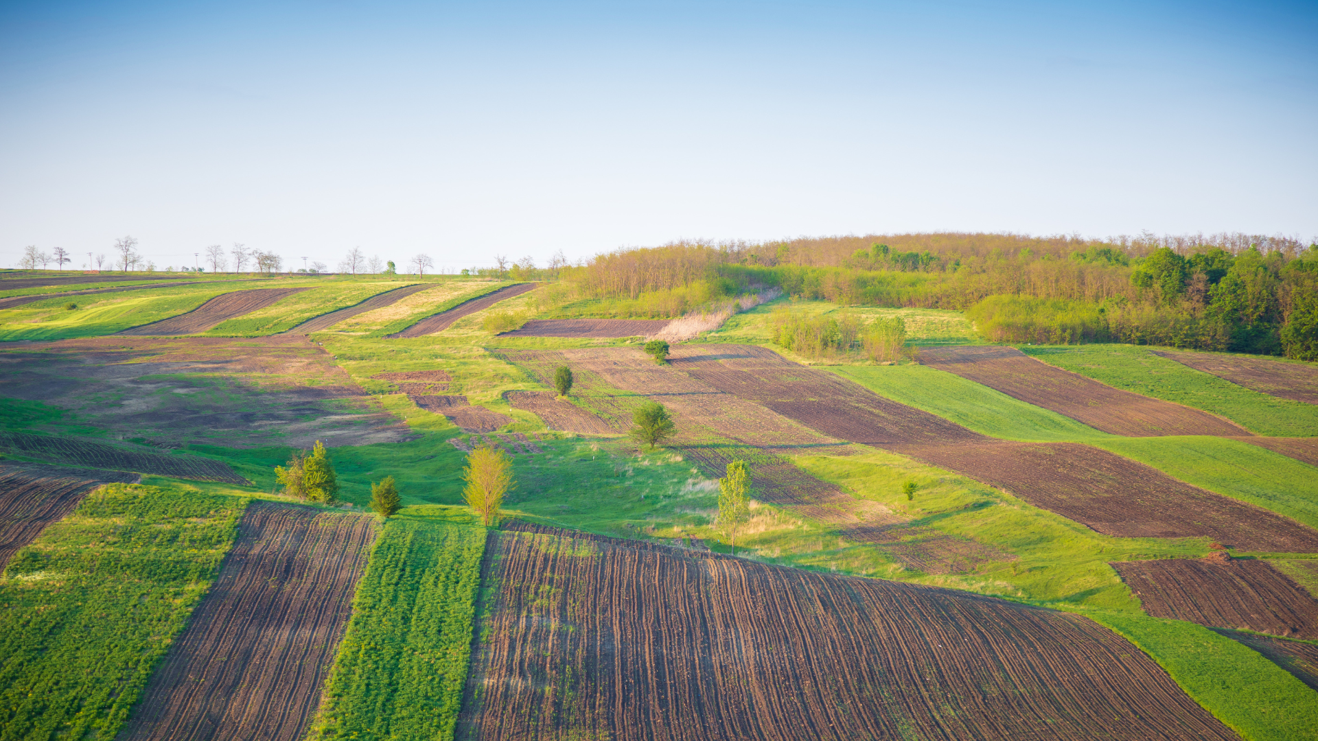 Sale & Purchase of Land